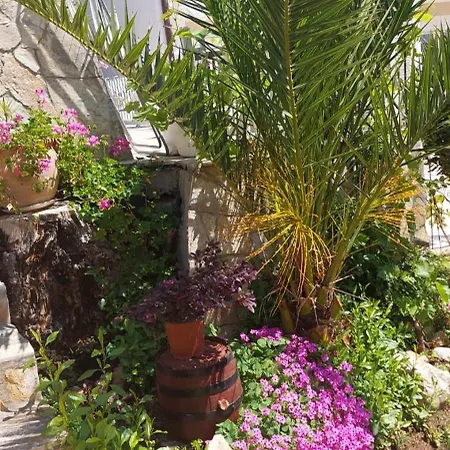 Sv.nikole Apartament