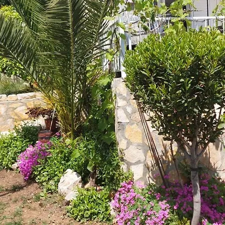 Lägenhet Sv.nikole *