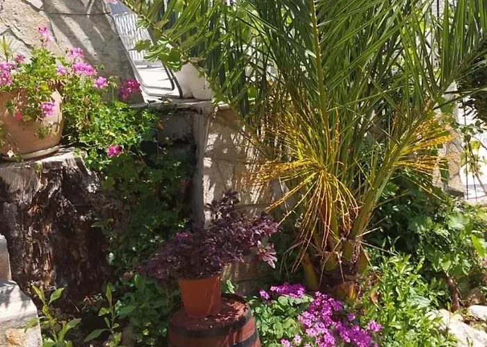 Apartman Sv.nikole Tribunj (Sibenik-Knin)